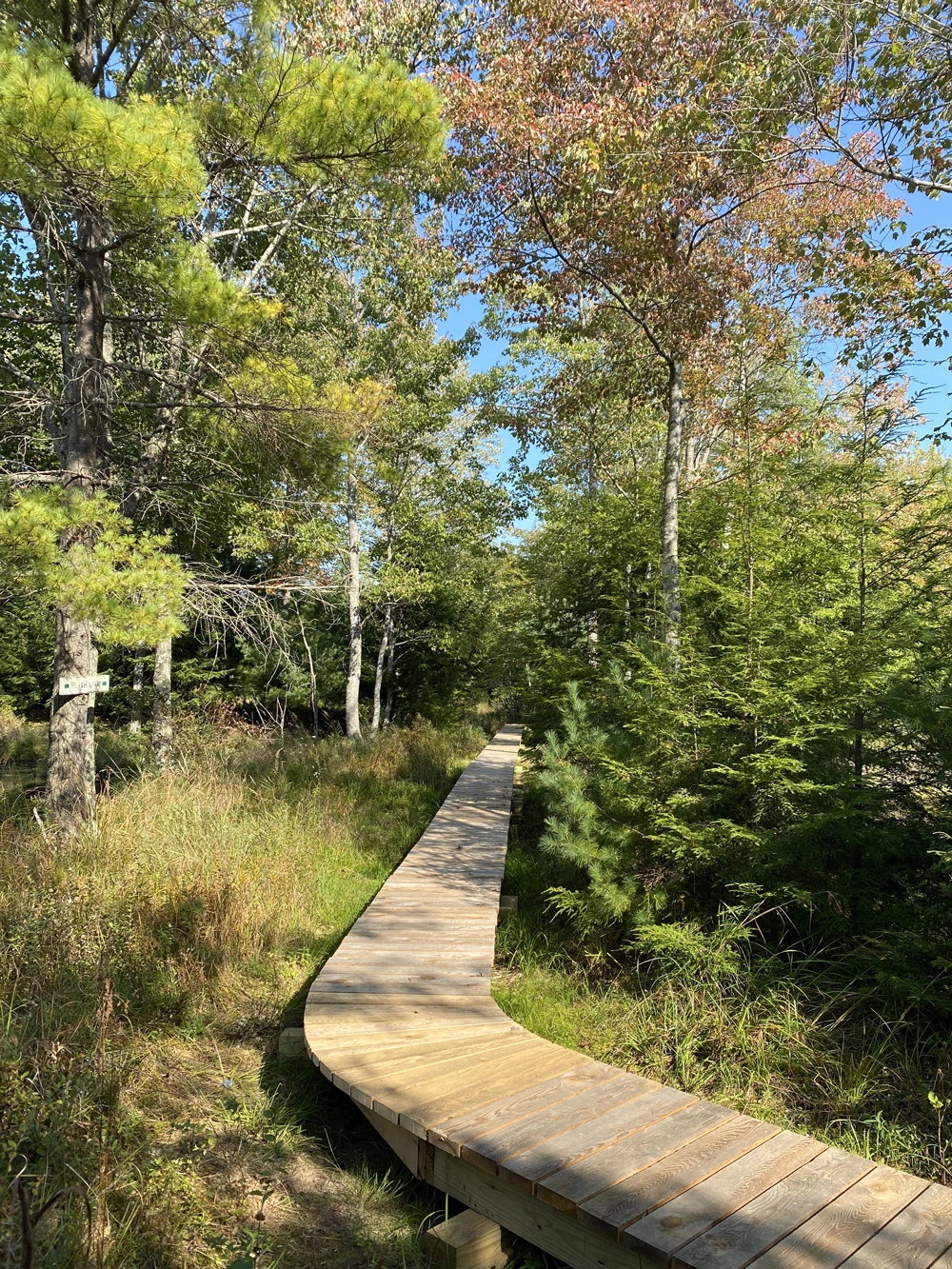 Cathance River Nature Preserve